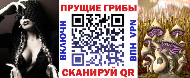 Псилоцибиновые грибы прущие грибы  как найти   Поронайск 